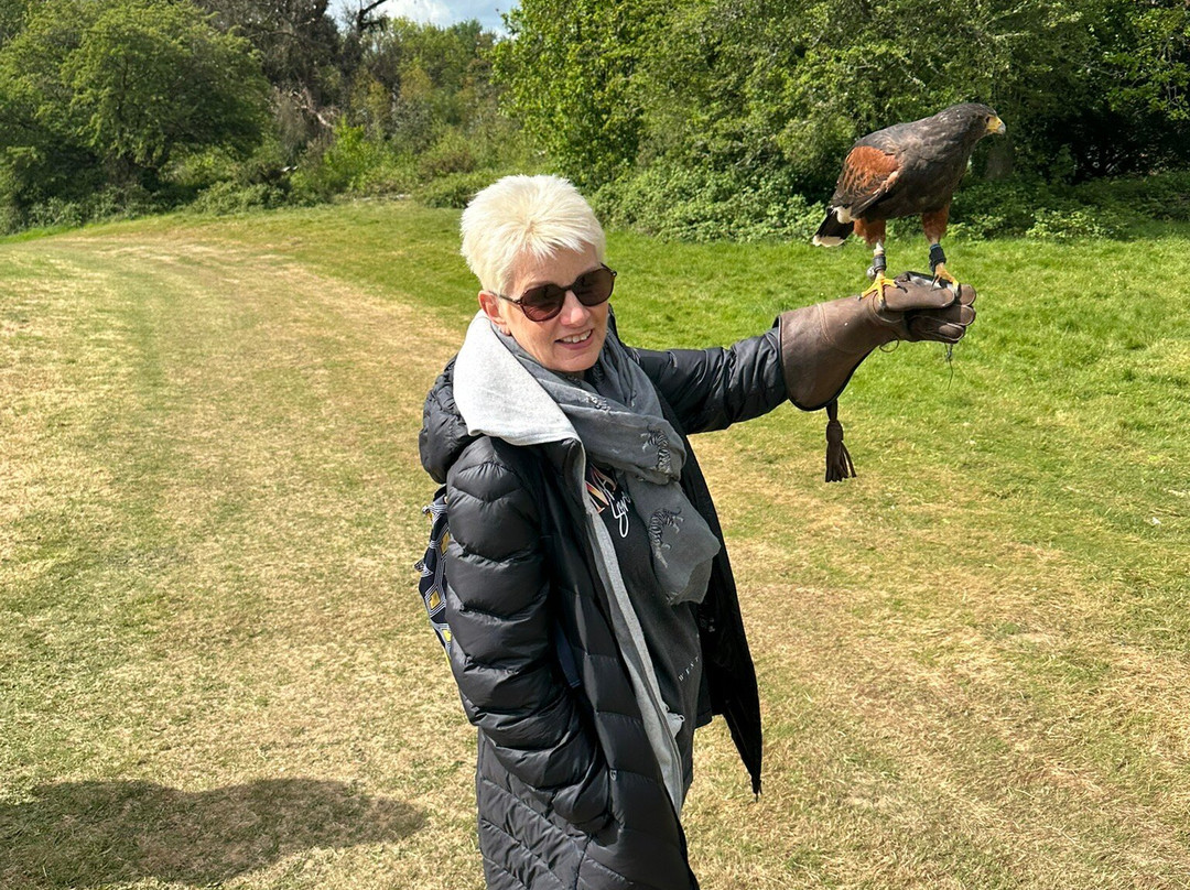 East Sussex Falconry-Herstmonceux必去景点