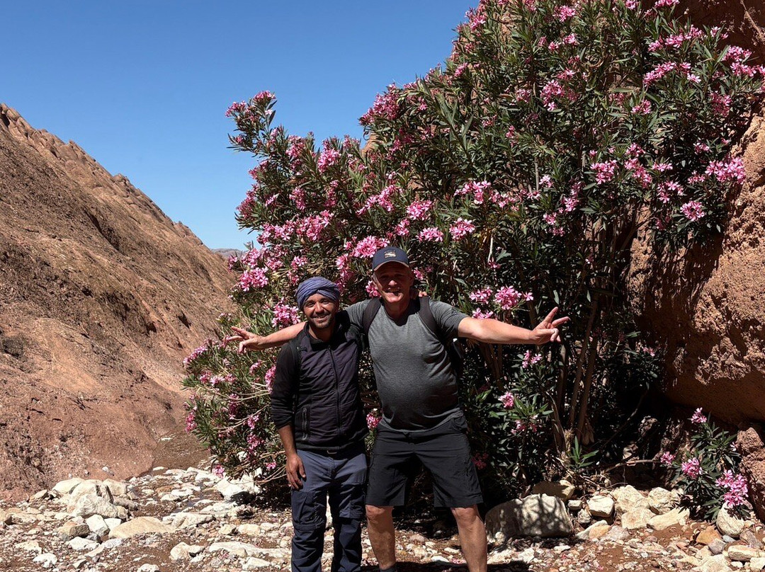 Trekking Au Gorge Du Dades Guide Abdou-Boumalne Dades必去景点