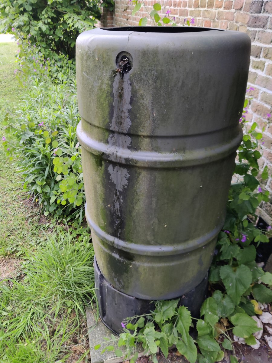 Hofstede's - Gravenhoek-旅行者