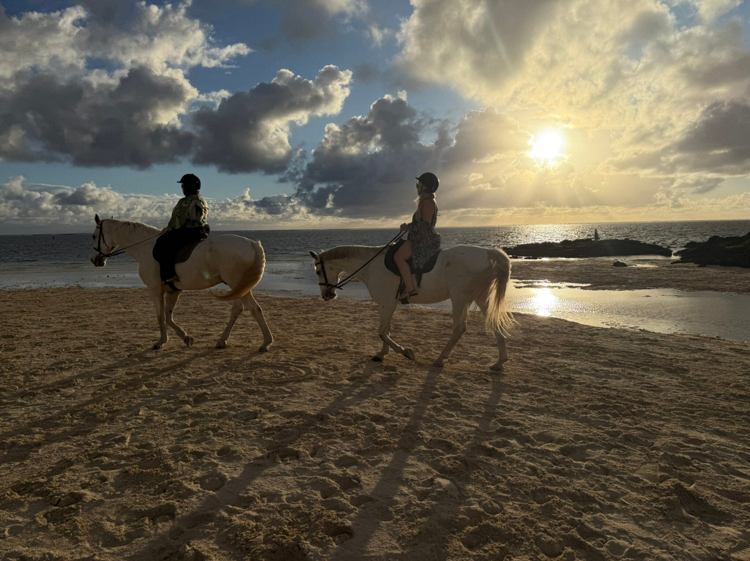 Legasea Stables Mauritius-Quatre Cocos必去景点