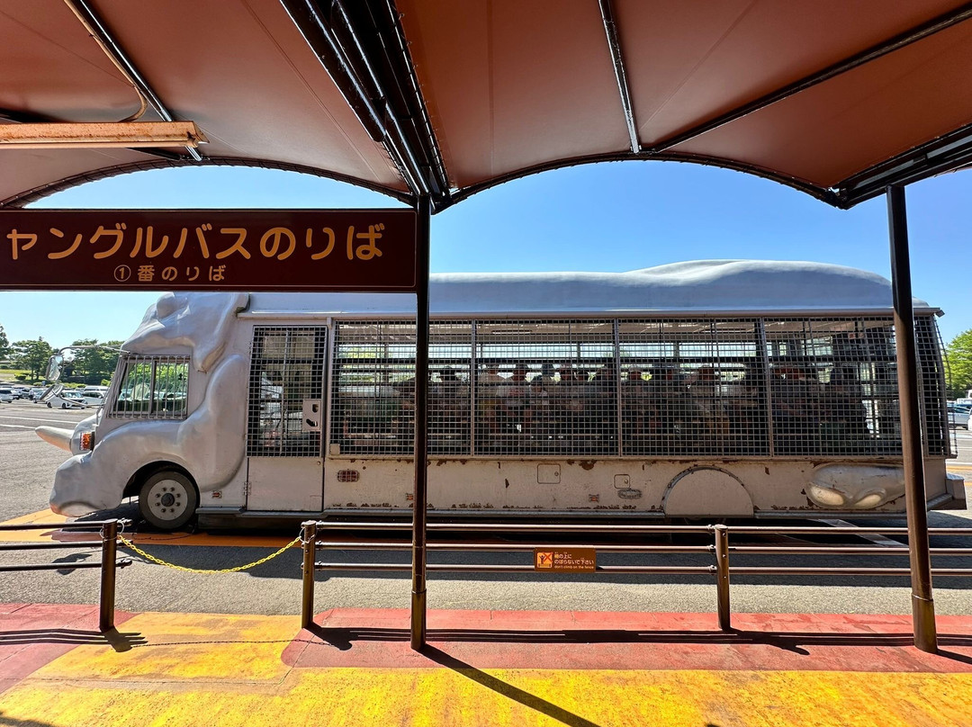 African Safari-宇佐市必去景点