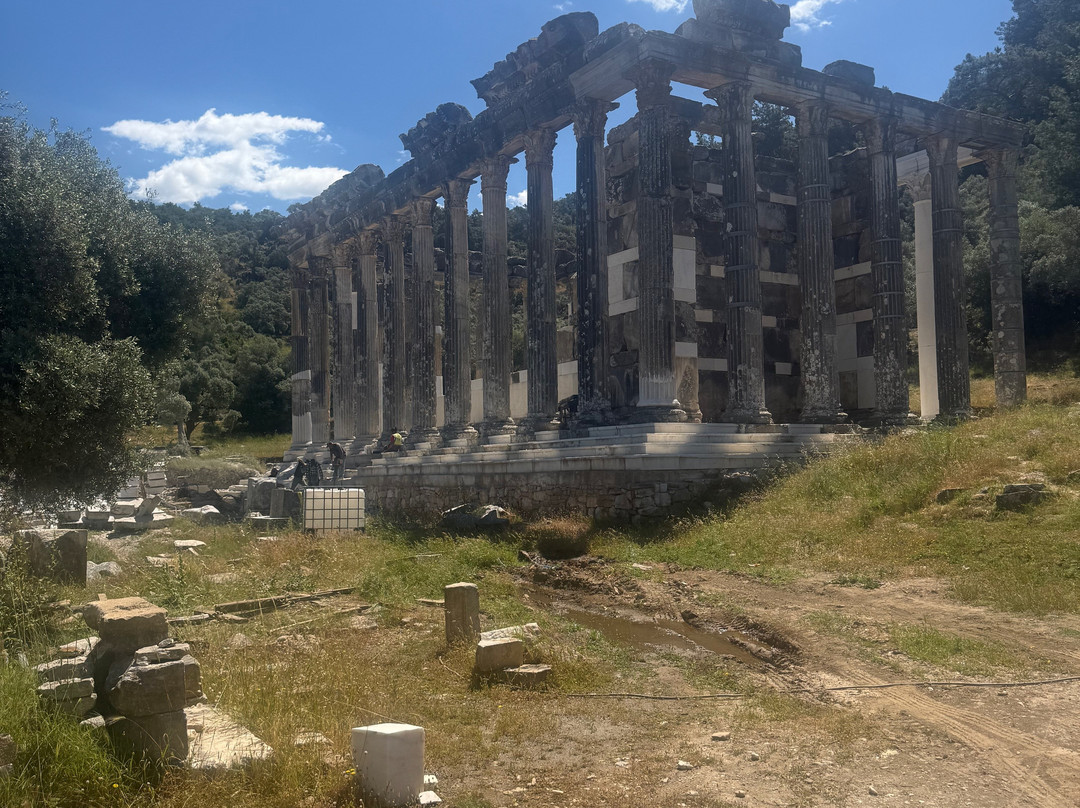 Euromos Ruins-Milas必去景点
