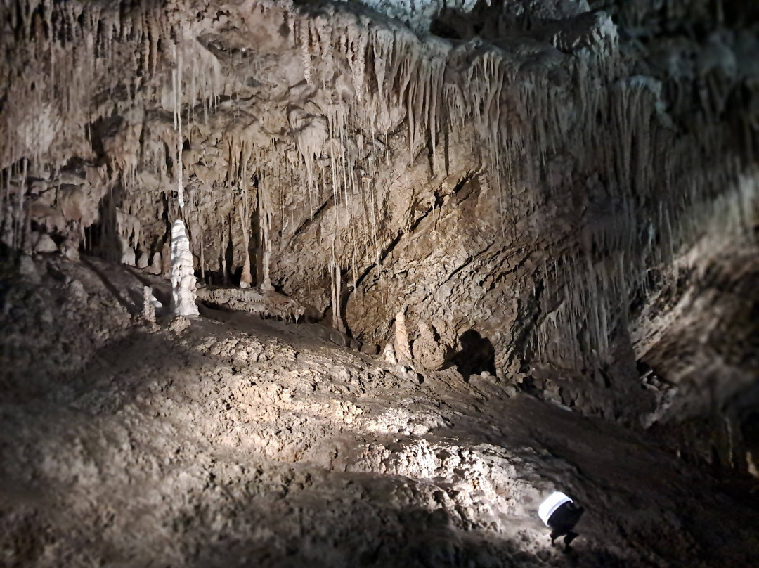 Marakoopa Cave-茉莉溪必去景点