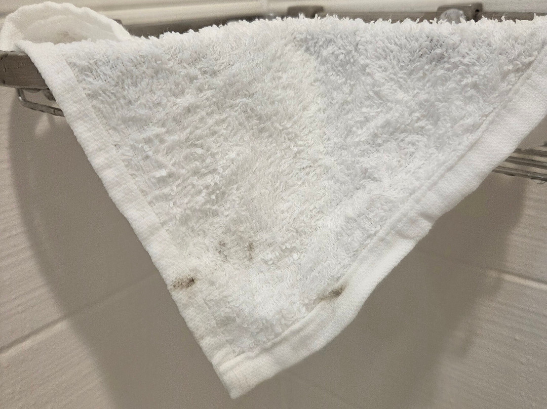 贝尔蒙特红木海岸SpringHill Suites酒店主图