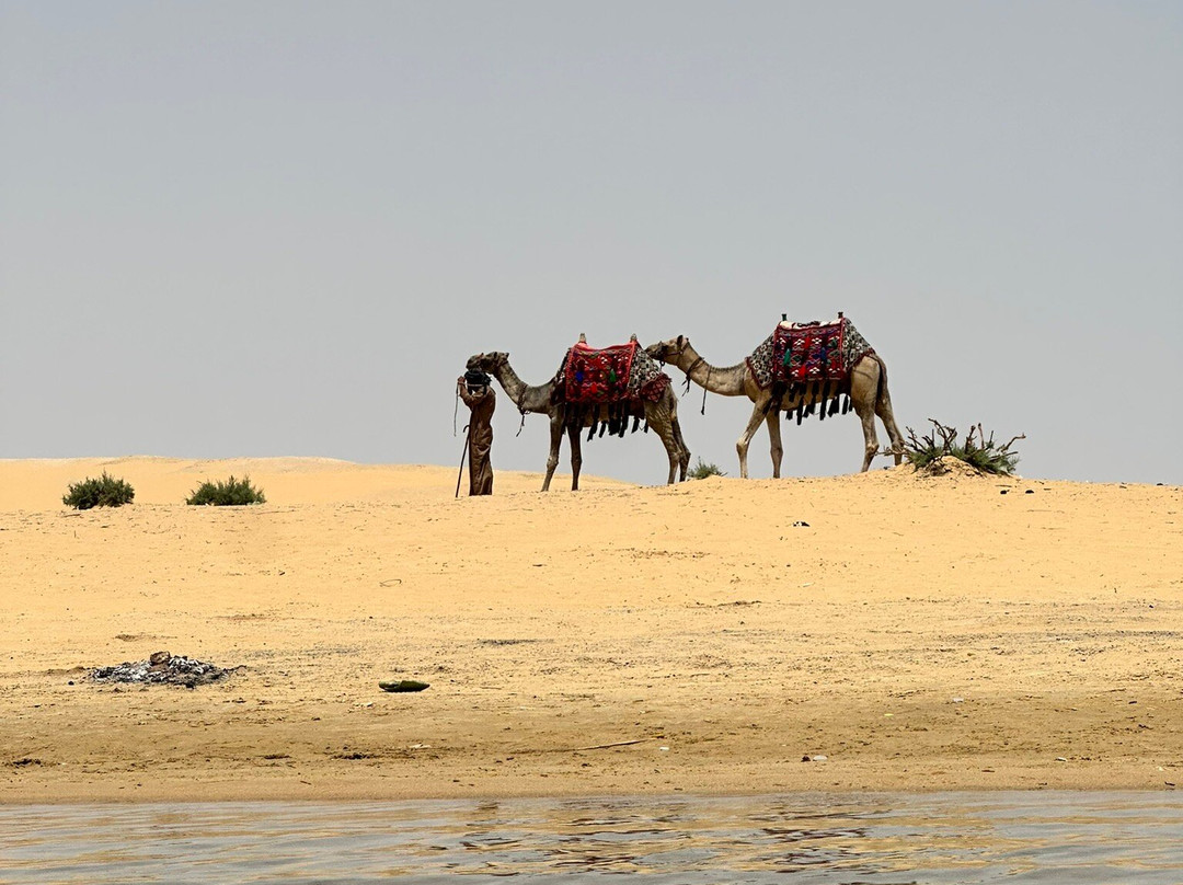 Jimmy Egypt Safari-Bawiti必去景点