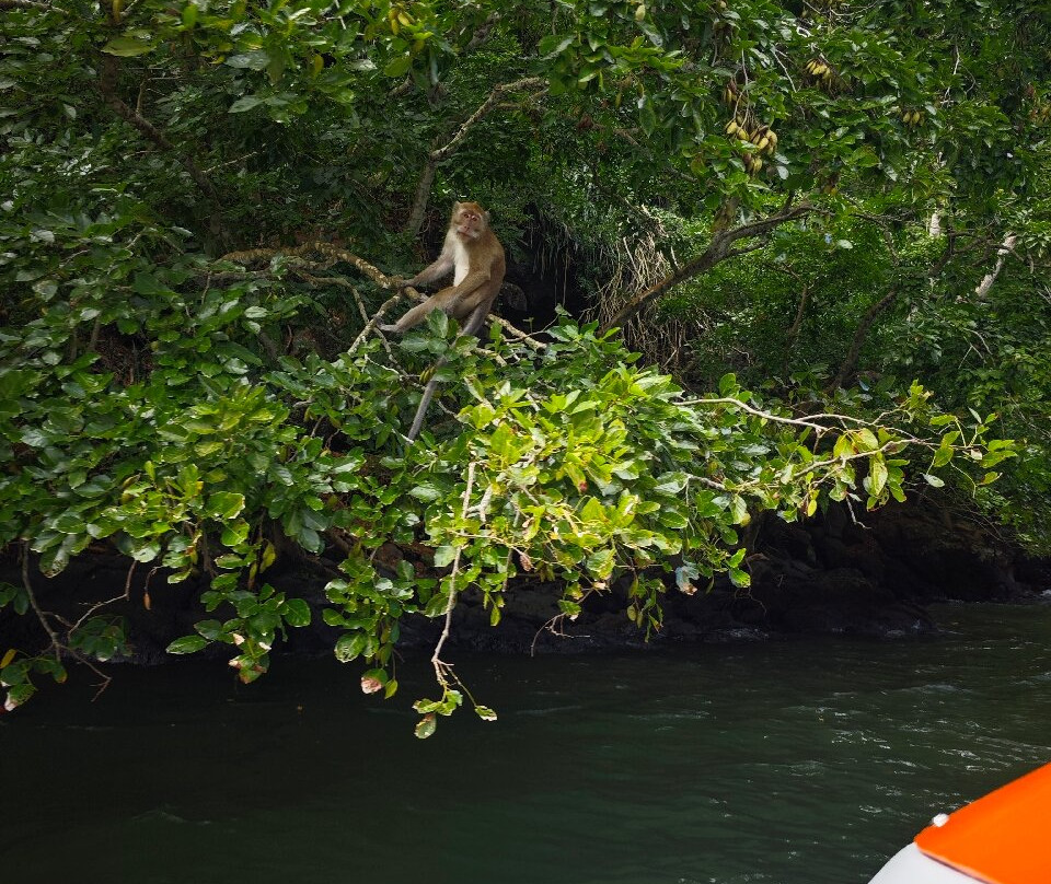 Calypso boat tours Mauritius-蓝湾必去景点
