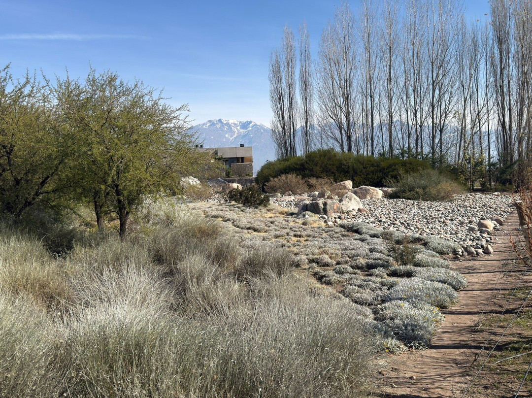 Bodega Zuccardi Valle de Uco-La Consulta必去景点