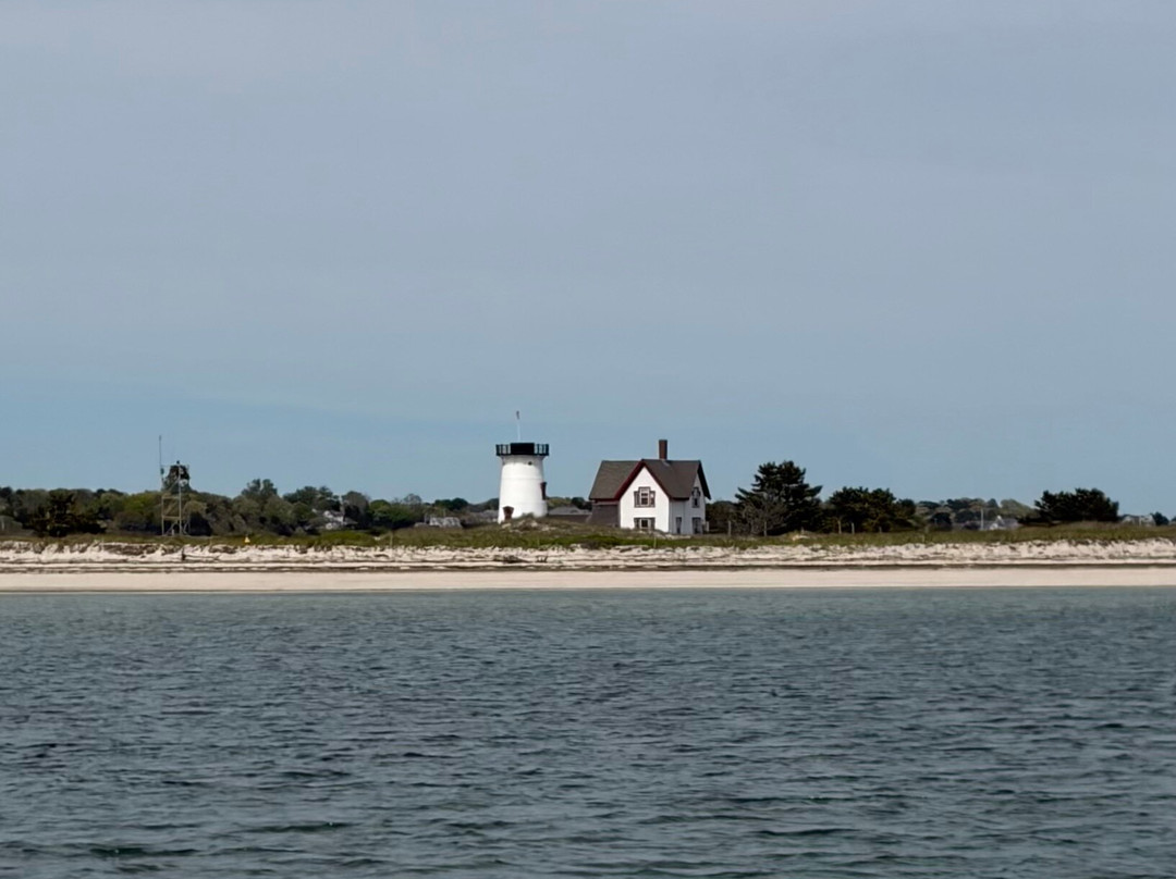 Monomoy Island Excursions-Harwich Port必去景点