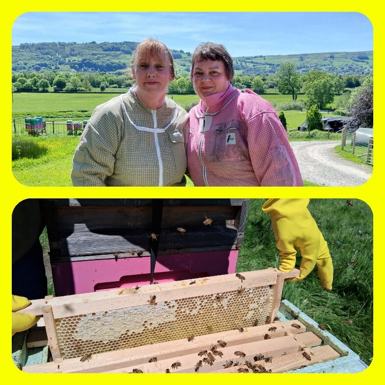 Herd & Hive Beekeeping experiences