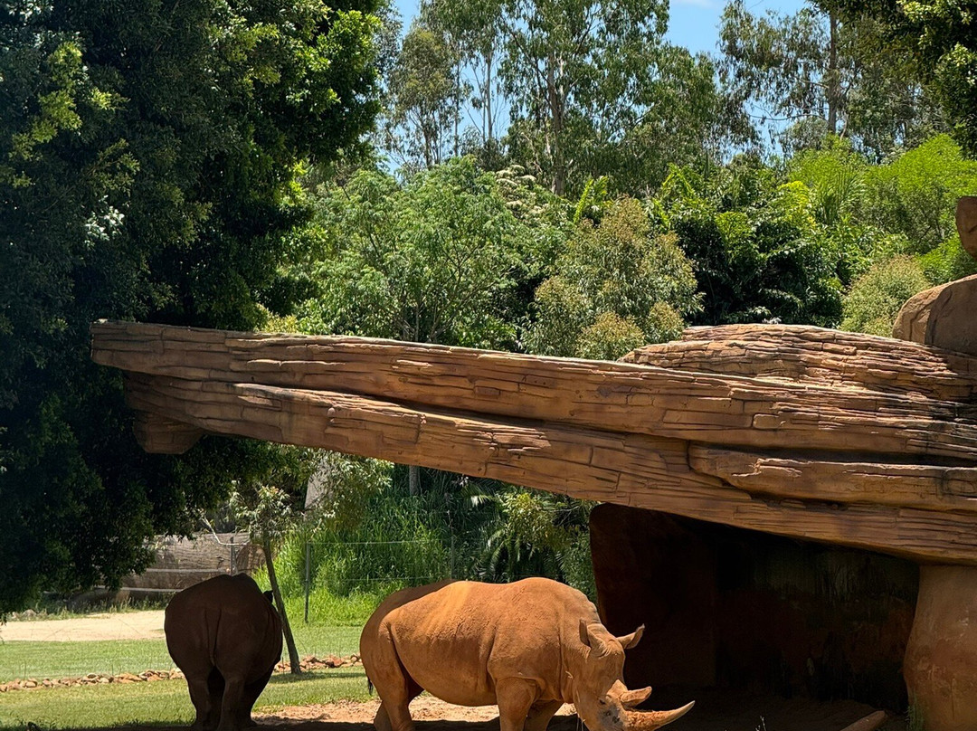 Australia Zoo-Beerwah必去景点