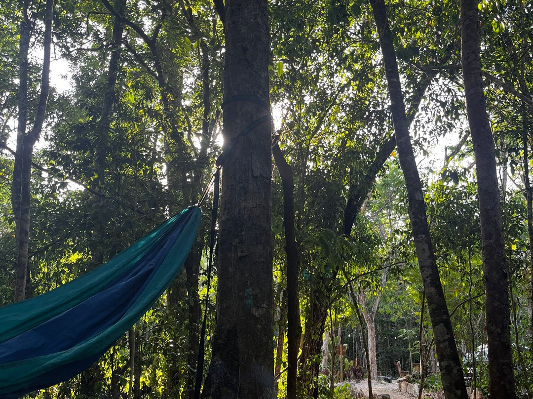 Parque Ecoturistico Cenote Aktun Bej-图伦必去景点
