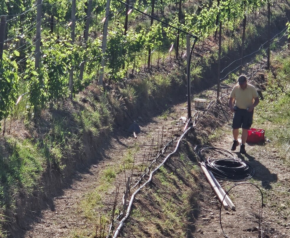 Weingut & Genusshotel Spitalerhof Superior主图