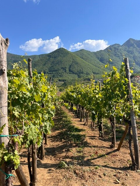 Tenuta Miranda Agriresort主图