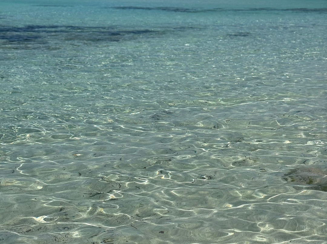Spiaggia del Pevero-切尔沃港必去景点