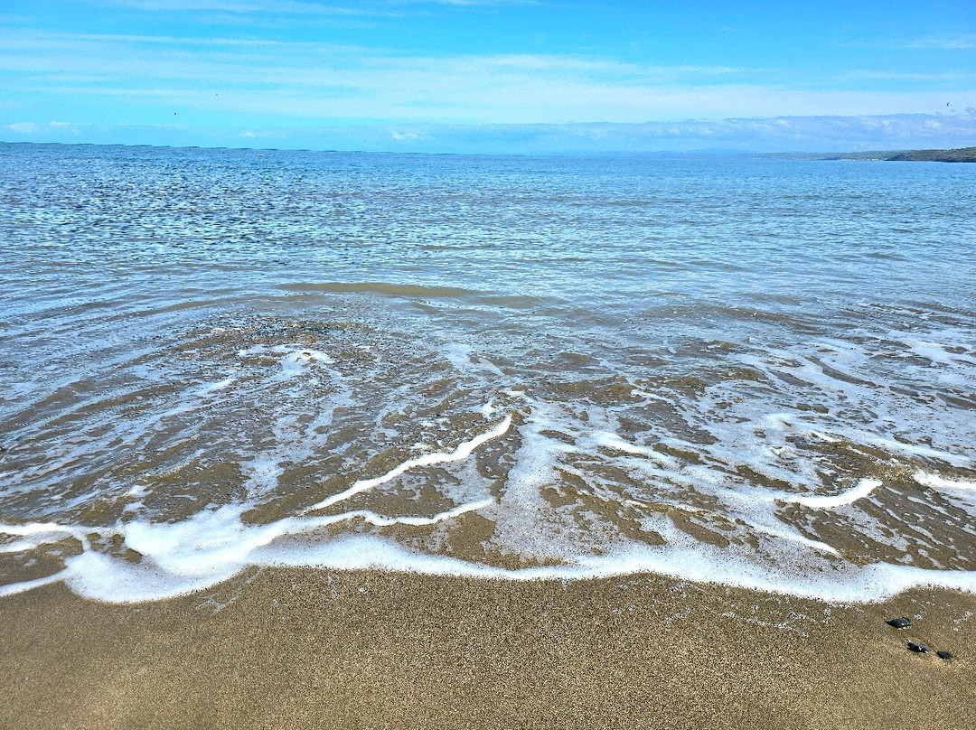 New Quay Beach. Wales-纽基必去景点