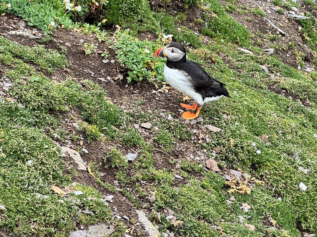 Skellig Tours-Caherdaniel必去景点