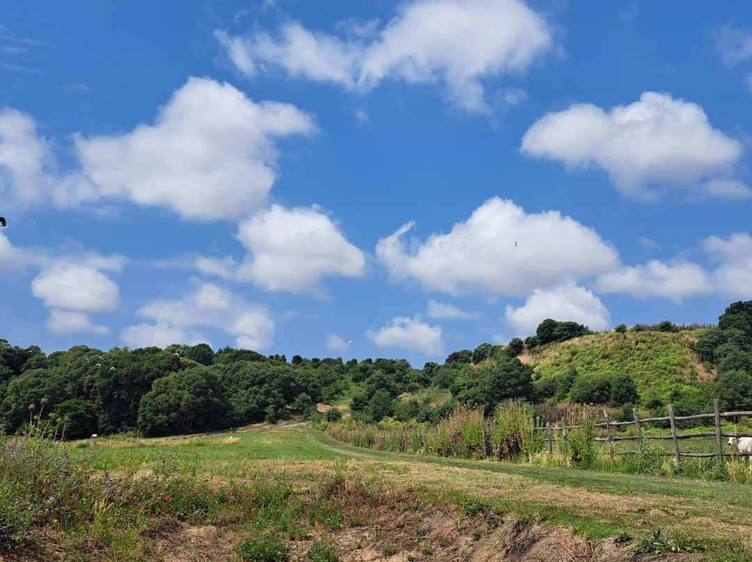Parco Archeologico Naturalistico di Vulci-Montalto di Castro必去景点
