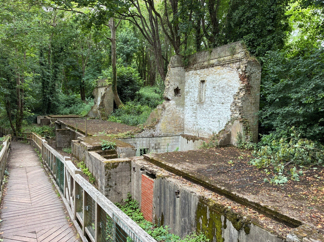 Oare Gunpowder Works Country Park-Oare必去景点