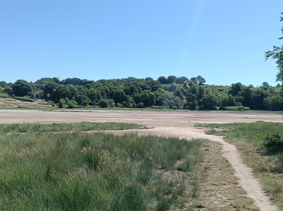 Monumento Naturale Caldara di Manziana-Manziana必去景点