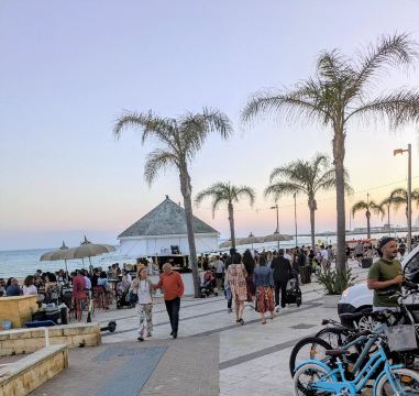 相思树宫殿酒店-旅行者