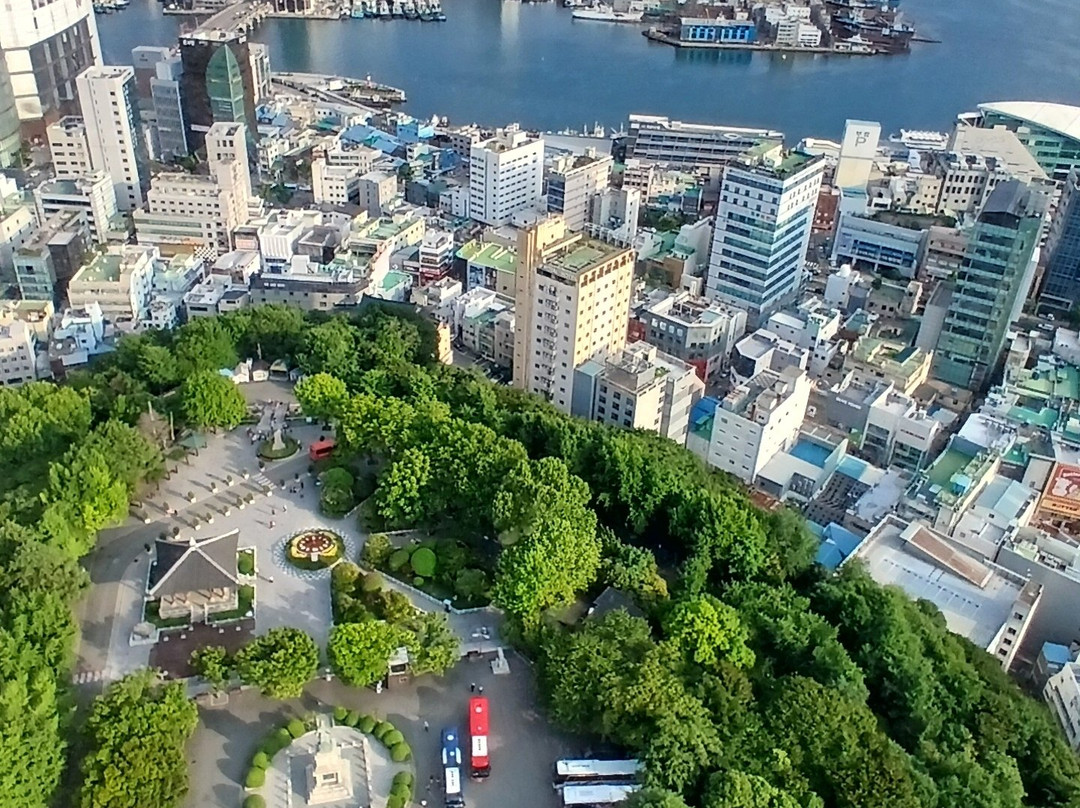 Busan Tower-釜山必去景点