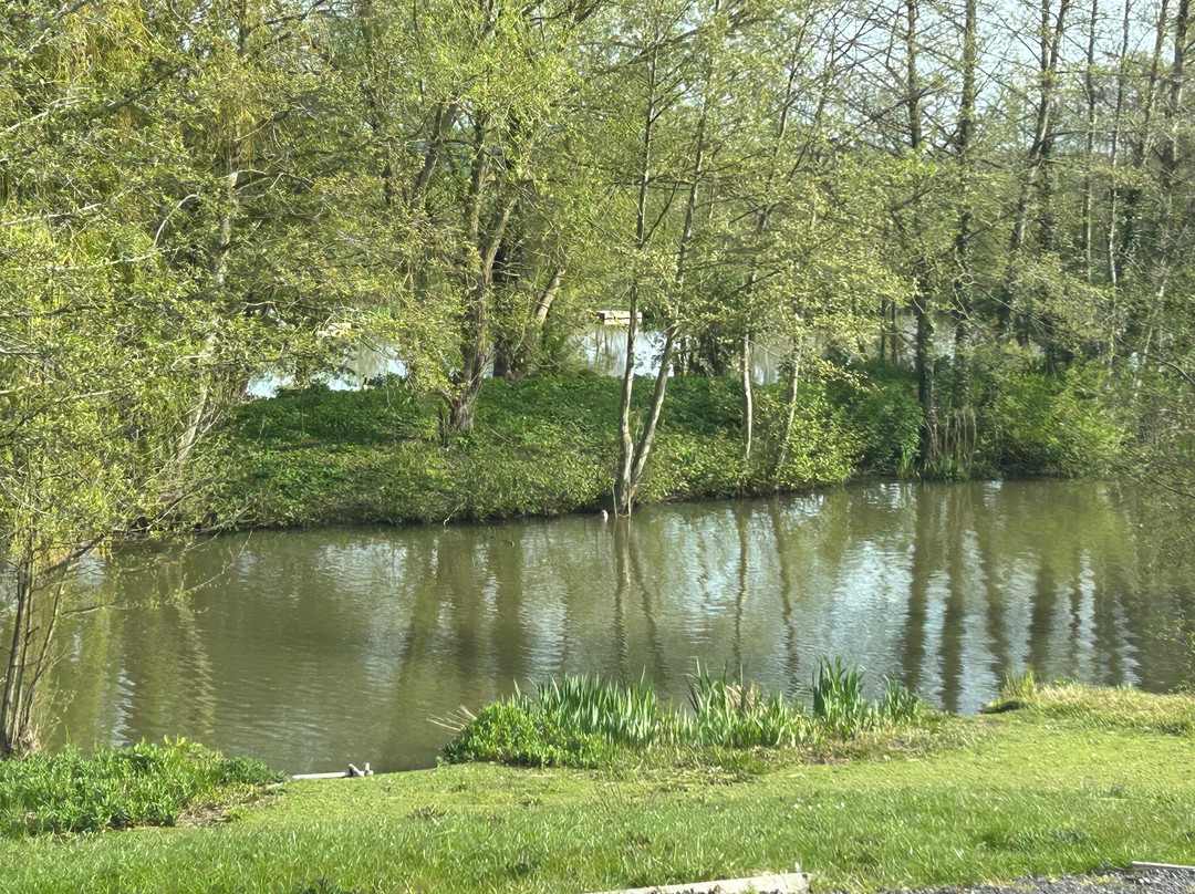 Woodlands Fishery, and Touring Park-Spilsby必去景点