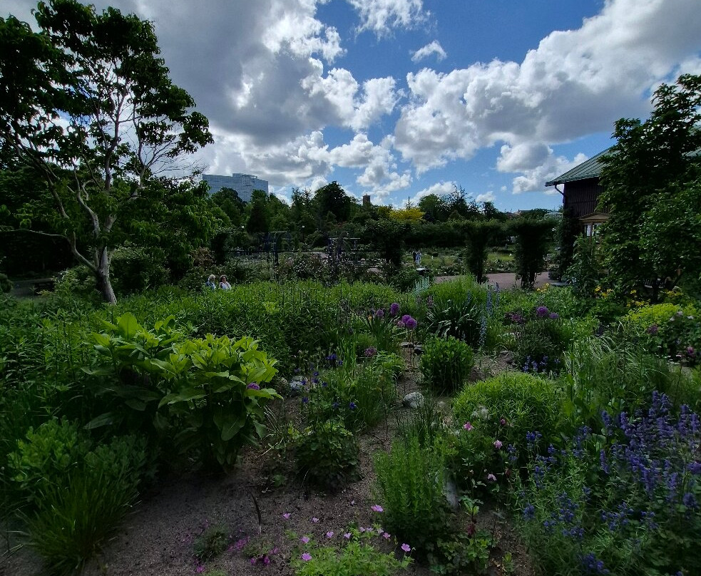 The Garden Society (Tradgardsforeningen)-哥德堡必去景点