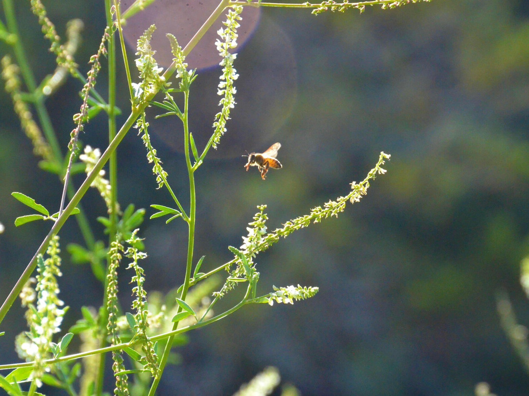 Palo Pinto Mountains State Park-Strawn必去景点