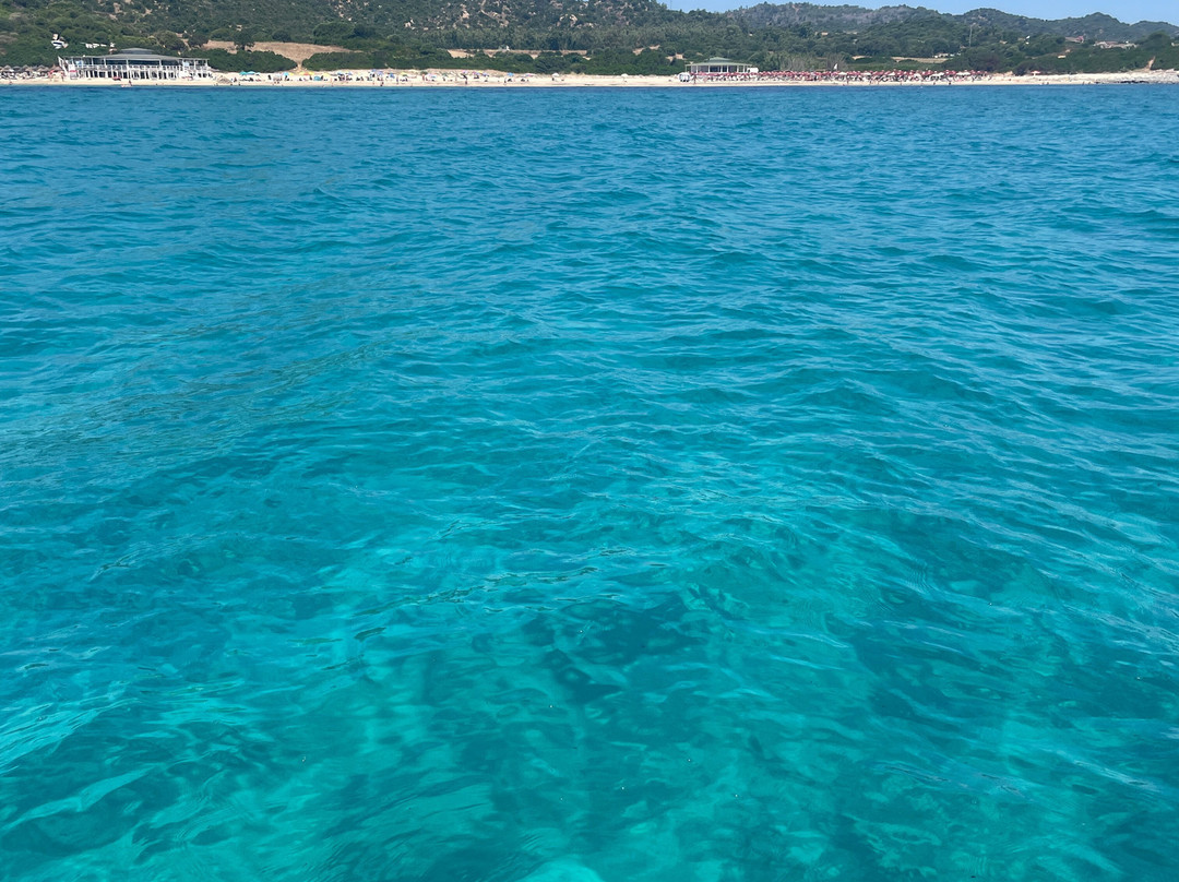 Tomorrowsea | Escursioni In Barca A Vela-Castiadas必去景点