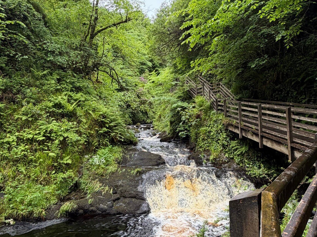 Glenariff Forest Park-County Antrim必去景点