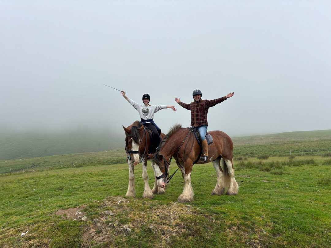 Cumbrian Heavy Horses-Millom必去景点
