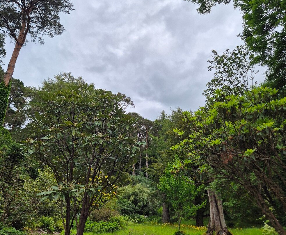 Inverewe Garden-Poolewe必去景点