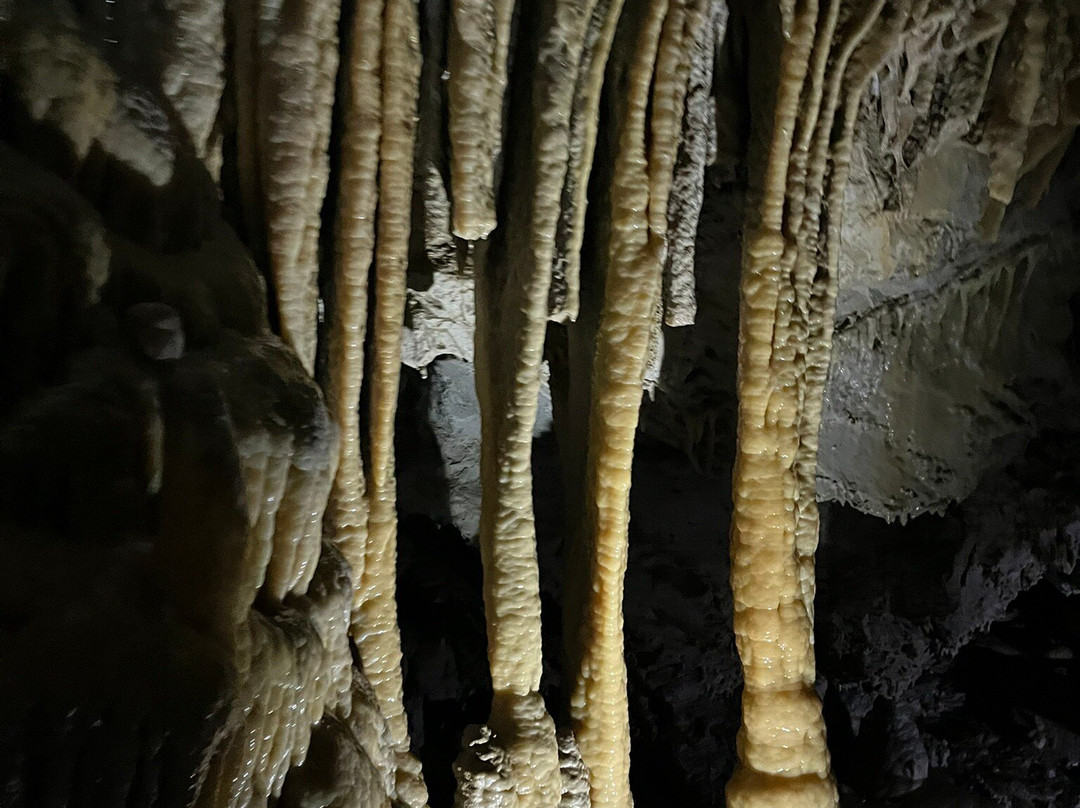 Demanovska Cave of Liberty-Liptovsky Mikulas必去景点