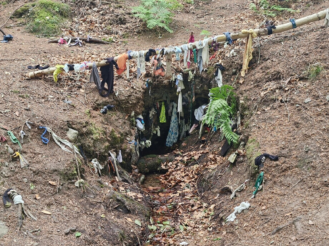 Clootie Well-Munlochy必去景点
