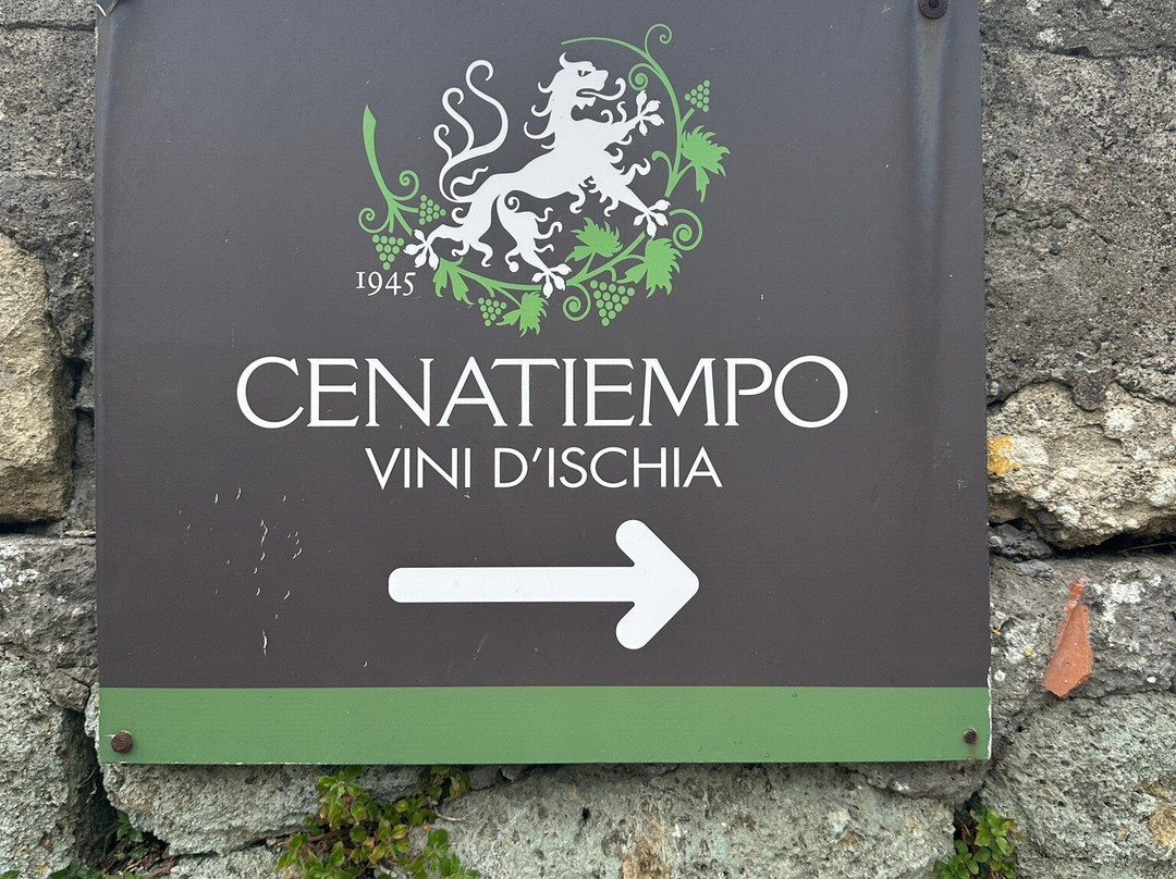 Vini Cenatiempo Ischia-伊斯基亚必去景点