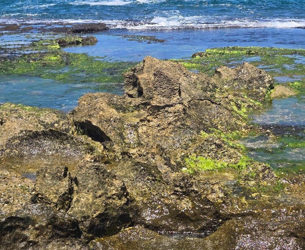 Paradise Cove Beach-考普雷必去景点