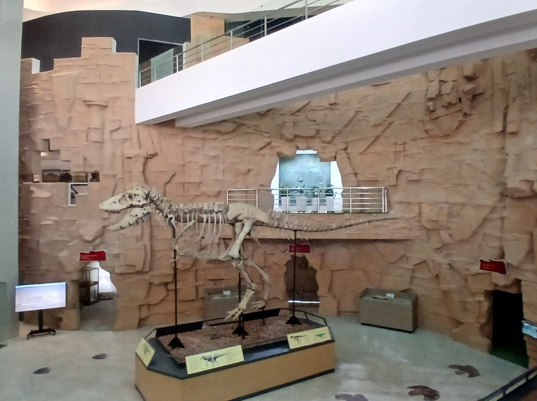 The Gobi Museum Of Nature And History-Dalanzadgad必去景点