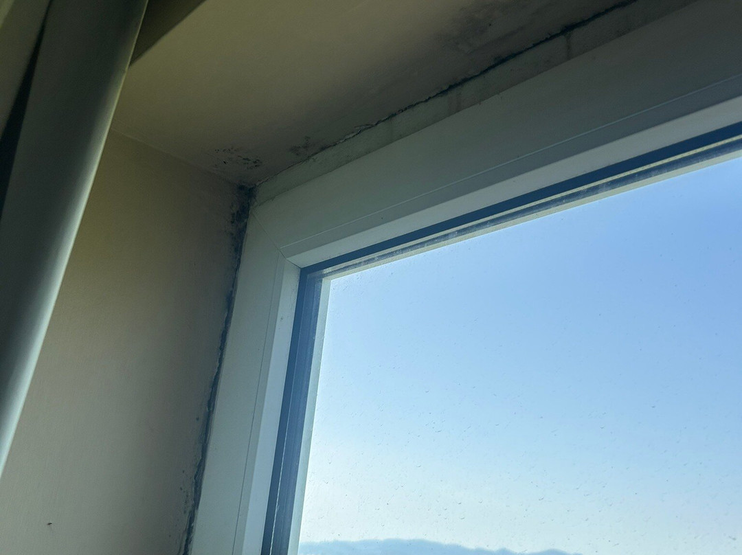 旗幟酒店瓦倫西亞 瓦倫西亞旗幟酒店主图