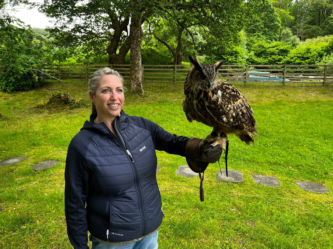 Shieldaig Falconry-盖尔洛赫必去景点