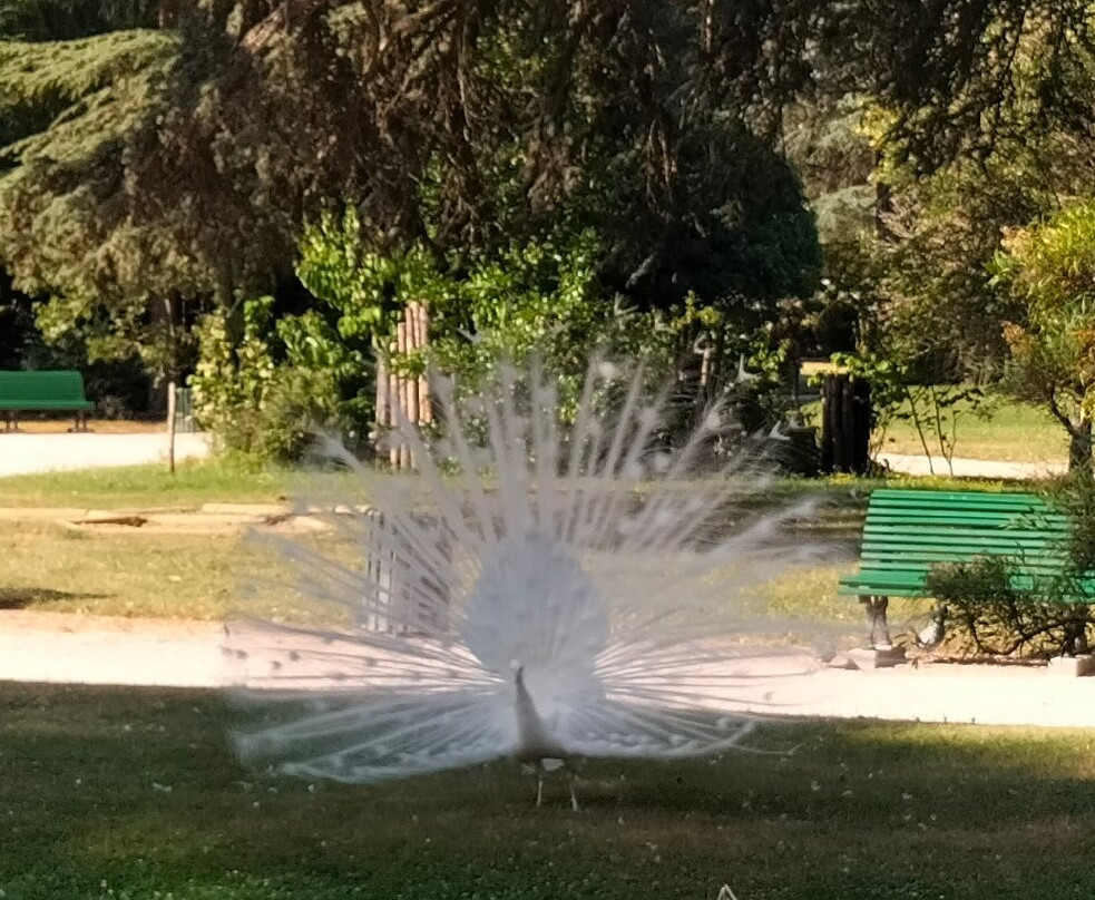 Jardin Massey-塔布必去景点