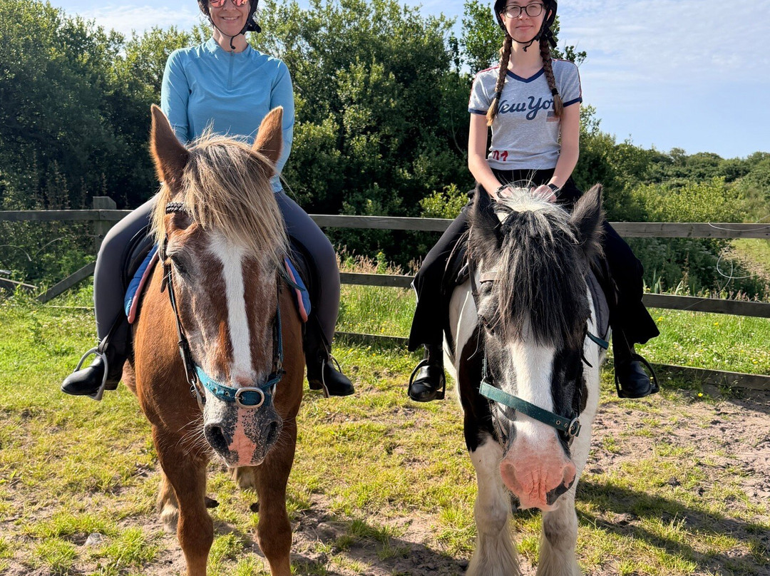 Long's Horse Riding-Ventry必去景点