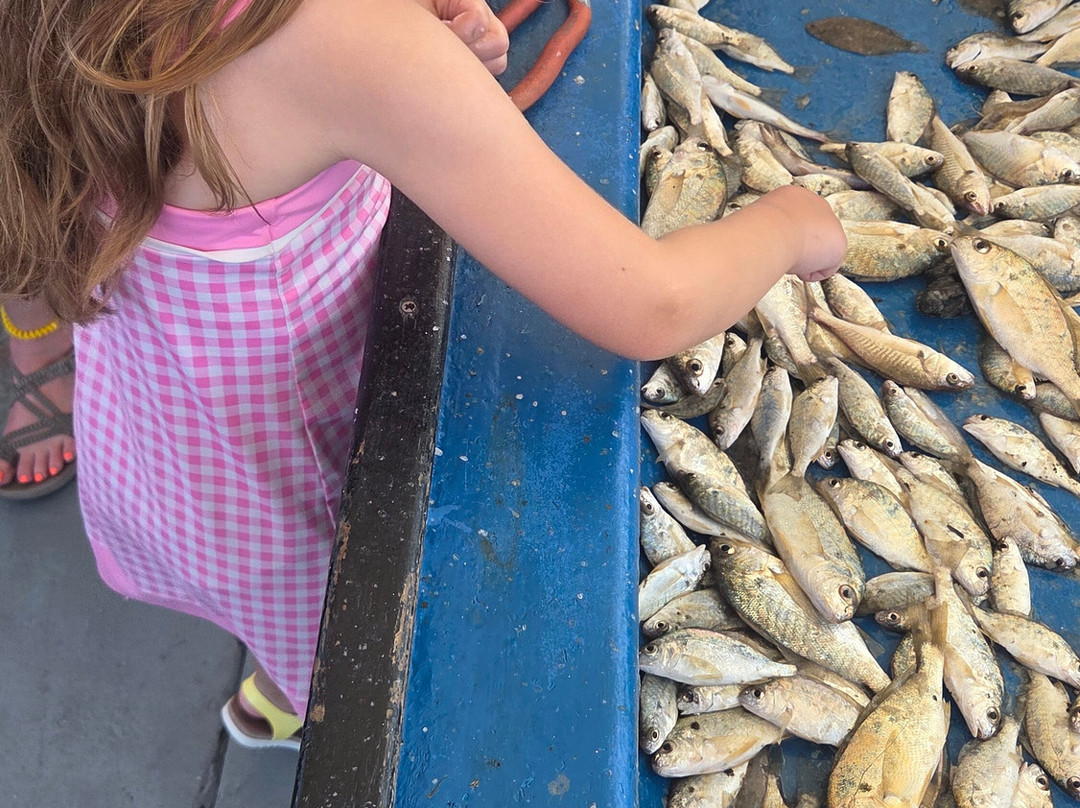 Dauphin Island Marina-Dauphin Island必去景点