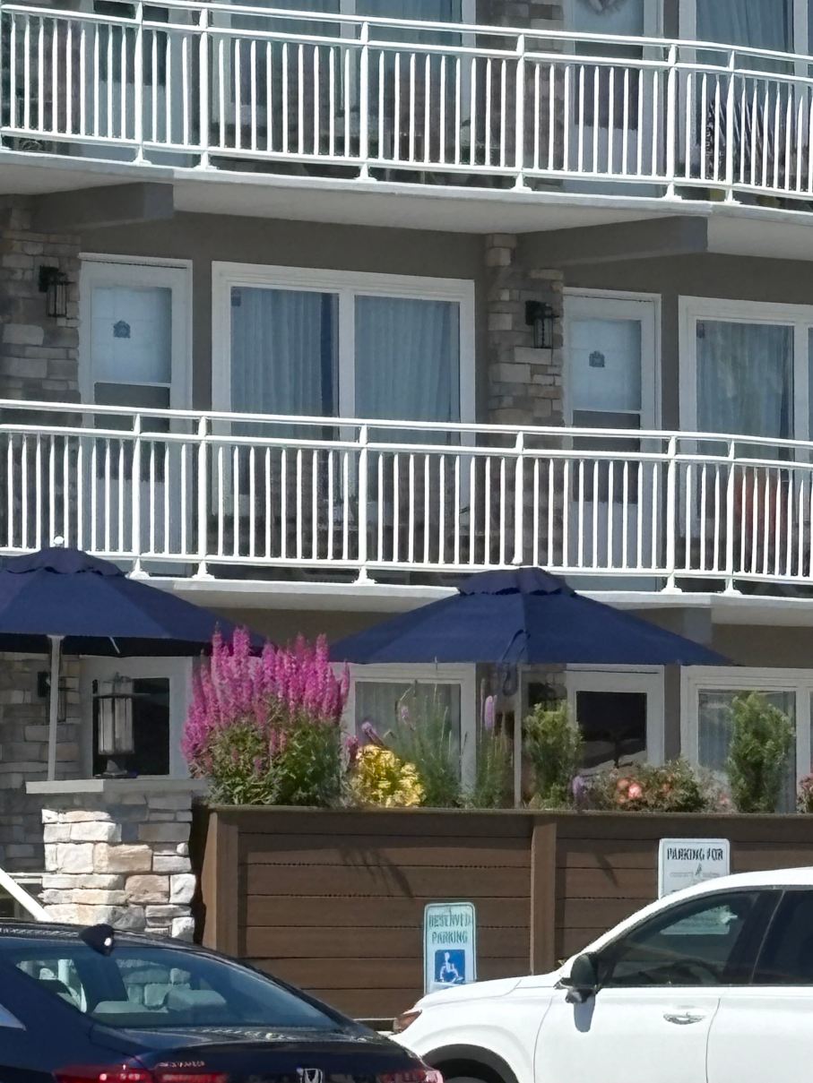 The Concord Suites-旅行者
