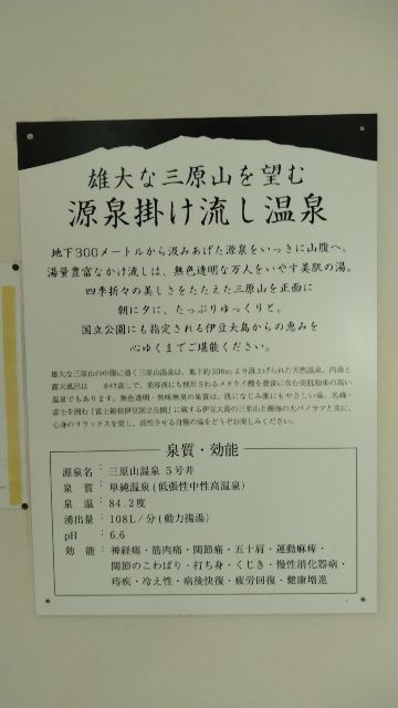 大岛温泉酒店-旅行者