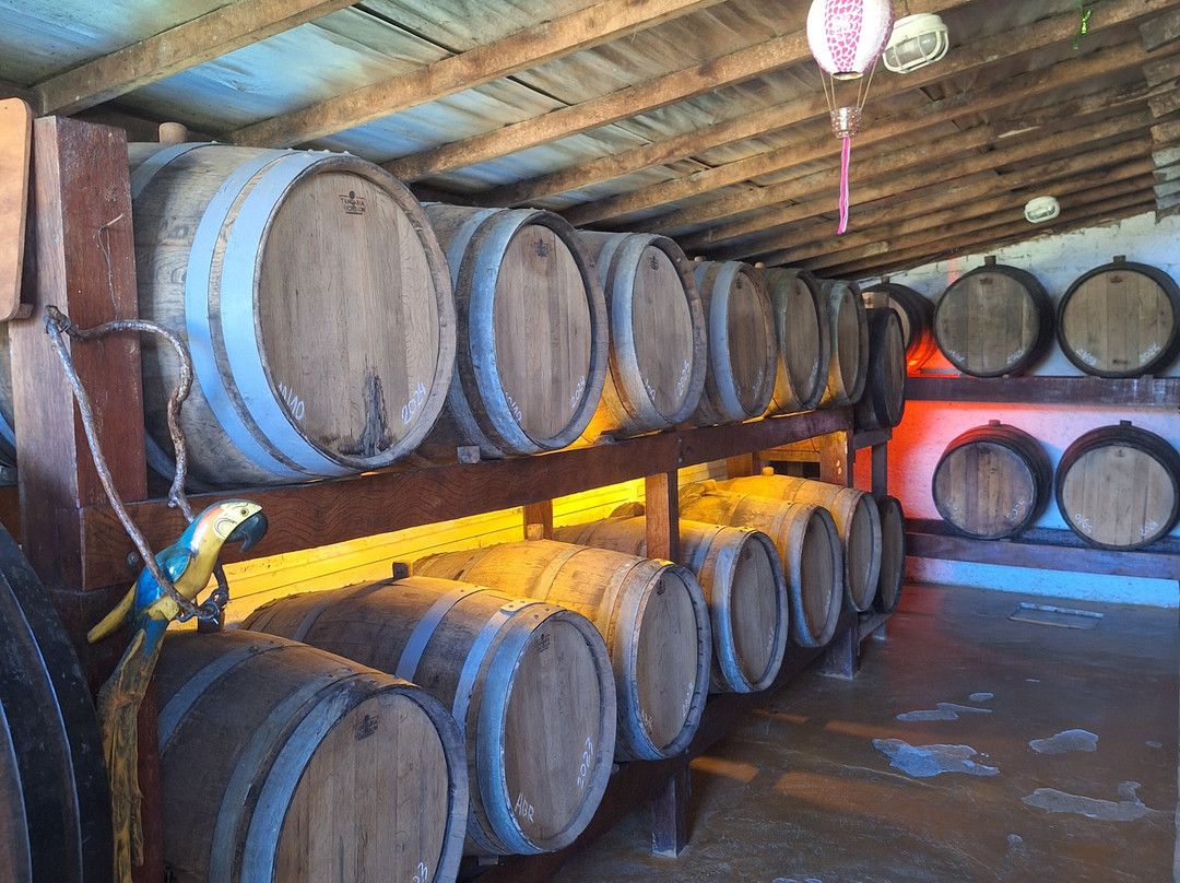 Alambique Cachaça Pedra Branca-帕拉地必去景点