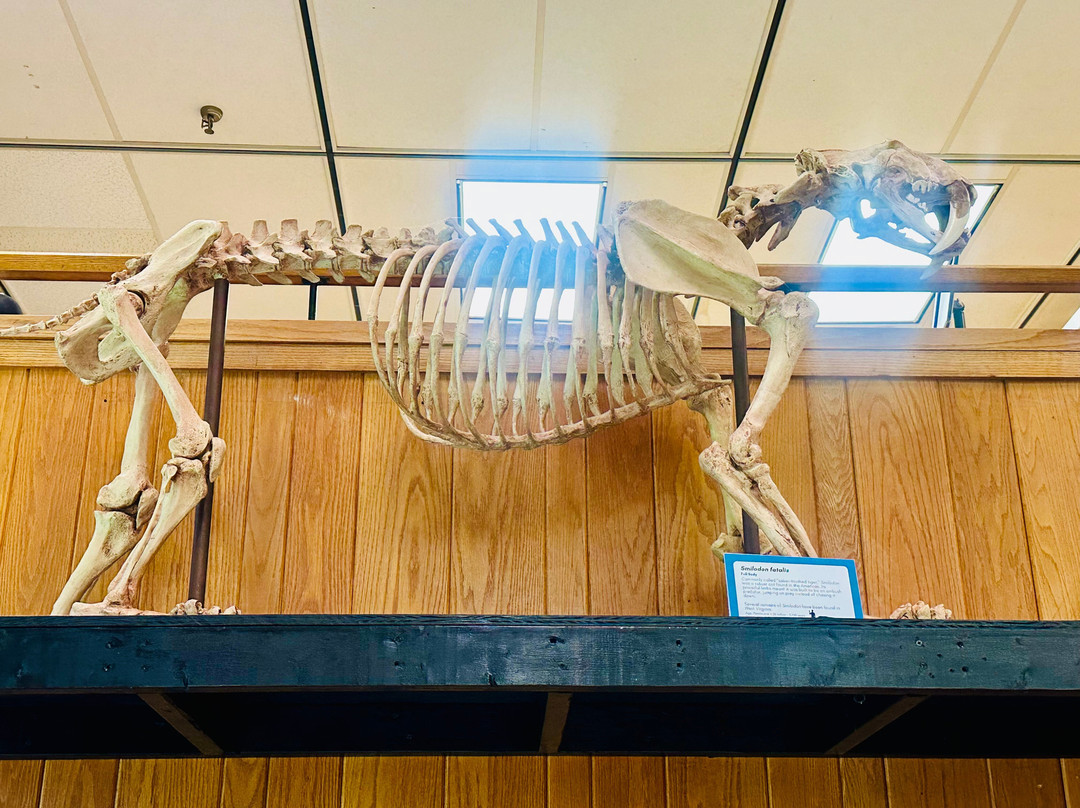 Museum of Geology and Natural History-Cheat Lake必去景点