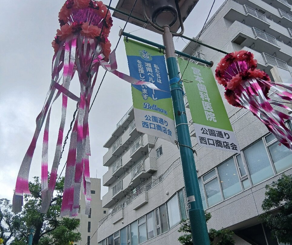 Shonan Hiratsuka Tanabata Festival-平冢市必去景点
