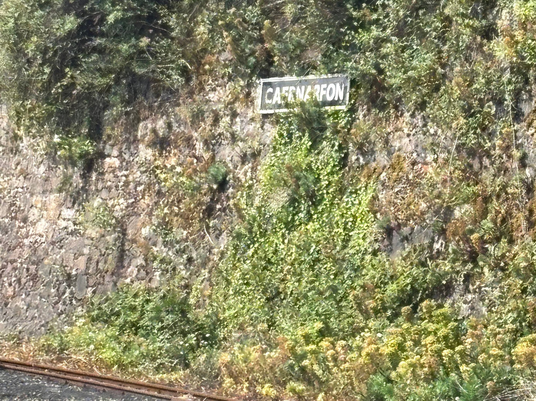 格林旺格住宿加早餐旅馆主图