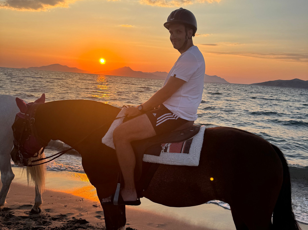 Erika's Horse Farm Kos-Marmari必去景点