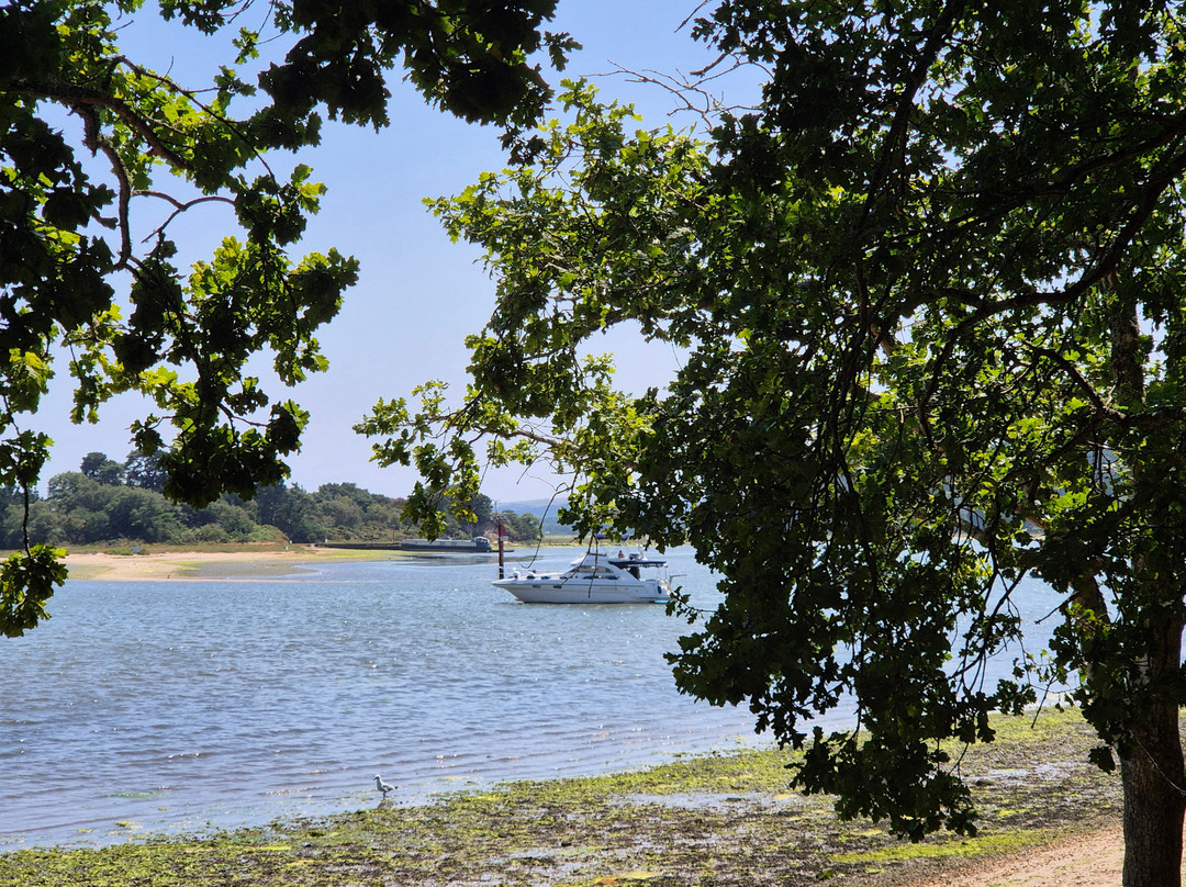 RSPB Arne-Arne必去景点